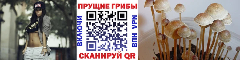 нарко площадка клад  Неман  Галлюциногенные грибы Magic Shrooms 